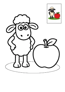 Baranek Shaun